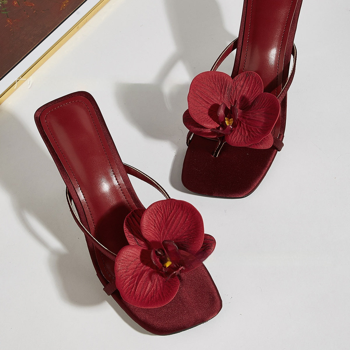 Talons Lesly